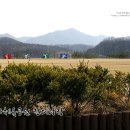 율하체육공원 잔디광장 이미지