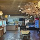 옹고집 | { 학교에 공부하러 가나요!? 저는 쌈밥 먹으러 학교가요! - “ 옹고집쌈밥 ” / 솔직후기 }