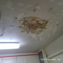 효성현대3차아파트 이미지