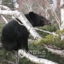 대이리농장 이미지