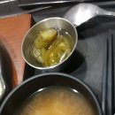 (버스)뉴코아백화점 이미지