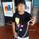 스파이더동인천