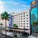 제주썬호텔 이미지