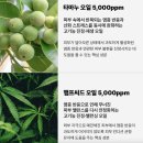 바르는 대마씨 햄프씨드 약국화장품 추천 유어초이스 세라바인 타마누 재생크림