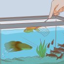 (주)오렌지크래프트 이미지