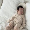 오부자막창 | 아기 2개월 필수 예방접종 헥사심 펜탁심 비교 접종열 준비물 및 주의사항