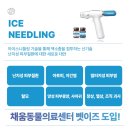 잠실 종합운동장역 동물병원 마취/수술이 걱정된다면? 고려해 볼 '벳이즈 냉동치료'