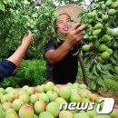 김연화농장 이미지