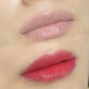 드림호약국 | 인천 용현동 틴트입술 에스제이 후기 / 리터치 후기