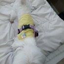 라인H 이미지