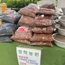 여디디야 양봉원 이미지