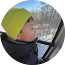 하이원 리조트 스노우월드 눈썰매장 총정리(꿀팁,입장료 가격,할인,주차,개장 등)