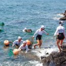 꿈(미디어) 이미지