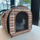 이웃집 동물병원 이미지