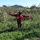 남도삼백리길(8코스) 이미지