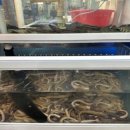 충렬대로410번길 이미지