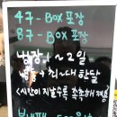 씨유 안암행복점 | 안암 고려대 마카롱 / 꾸미롱 종류별 후기