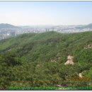 까치산 이미지