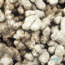 생강이네 Daum카페