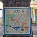 별책 | 제주여행 1일차｜올레여행자센터 · 제주별책부록 방문 후기