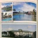 잭니클라우스 경산점 | [브루나이] 이번 겨울은 베일에 가려진 브루나이여행 너와 함께 (ft. 7성급 브루나이엠파이어호텔 미리...