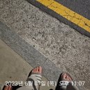 세븐일레븐 뉴강남센터점 이미지