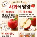 활짝핌