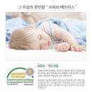 프리모갤러리