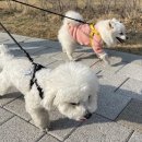 송산유치원 이미지