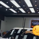 카바디샵