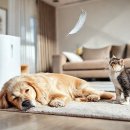 공기청정기 펫 필터 효과: 고양이 털, 강아지 냄새 99.9% 제거하는 집사 필수템 완벽 분석 (2025년 최신) 이미지