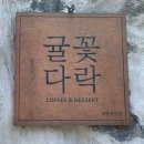 여자 둘이 제주도 서귀포시 탐방 🍊 2박3일 일정 | 할거 다한 갓성비 여행