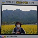 회령진성공원 | 장흥 선학동. 영암유채꽃 축제