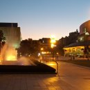 피터 비스펠베이 첼로 리사이틀 이미지