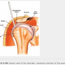 THE APPROACH 이미지
