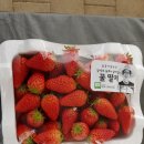 가람 농장 이미지