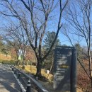 자작나무힐 | 워커힐호텔 빌라 사파이어 투숙기