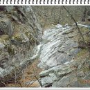 응봉산농장 이미지