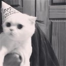 임밍아웃 그리고 일상, 내 블로그 이야기