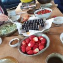 수반농장 이미지