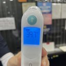 반애 | 강사 퇴사] 초등영어학원강사 장단점, 영어학원 선생님 후기, 영어학원강사 퇴사이유, 앞으로의 진로방향