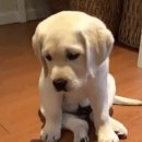 신흥마트 | 여행 (5탄)_2일차: 대련 가을 여행 🍂 난산거리 카페, 베이징덕 맛집 '신흥전승덕', 동방수성 야경 후기