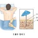 내로 이미지