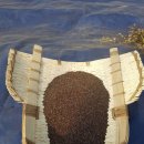 햇살슈퍼 이미지