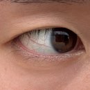 에이치 - 평택시 안정순환로222번길 103 | [후기]다산 바이에이치 속눈썹펌 후기👀