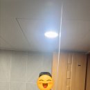 샌더소니아샵