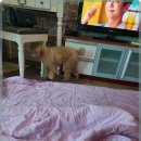 오고가고펜션 이미지