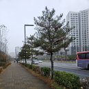 동탄살수 이미지