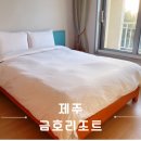 금호리조트(주)제주 이미지