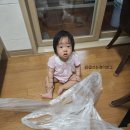 가정보육 12개월 아기 발달성장기 / 낮잠1회 변환 분리불안 놀아주기